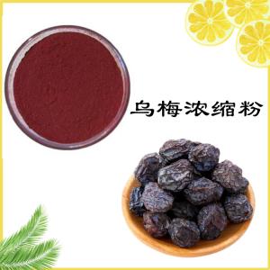 乌梅浓缩粉  植物提取  比例提取