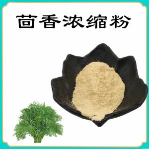 茴香浓缩粉  资质齐全 量大从优