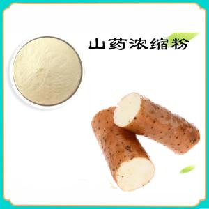 山药浓缩粉  供应山药提取物  可定制生产