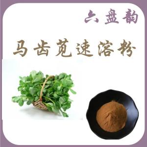 马齿苋速溶粉  可定制  水溶