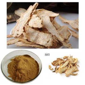 斯诺特当归粉 浓缩全根提取 水溶无沉淀