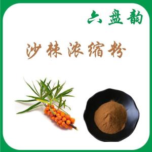 六盘韵 沙棘浓缩粉 可定制