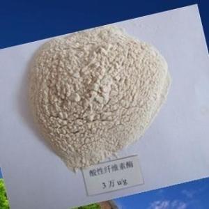 纤维素酶的作用是什么