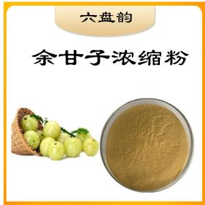余甘子浓缩粉  现货  免费拿样  量大从优