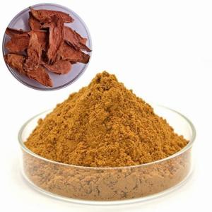 红景天喷雾干燥粉 斯诺特生物水溶提取