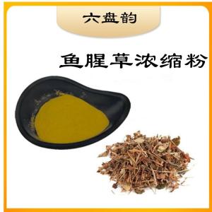鱼腥草浓缩粉  资质齐全  量大从优