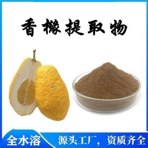 香橼浓缩粉  速溶香橼粉   资质齐全  可定制  可包邮