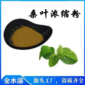 桑叶浓缩粉  桑叶粉价位  现货现发  可定制