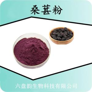 桑葚粉 桑葚提取物 水溶 可定制