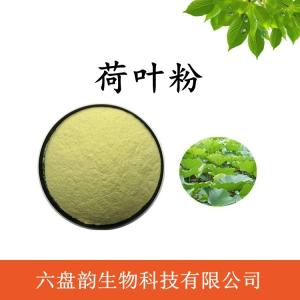 荷叶粉 荷叶浓缩粉 水溶 可定制