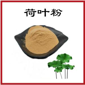 荷叶粉  荷叶提取物  食品级原料  可定制