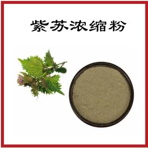 紫苏浓缩粉  紫苏粉   食品级原料   可定制
