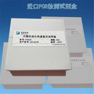 质粒pUC19 产品图片