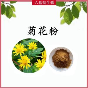 菊花粉 菊花浓缩粉 水溶 可定制