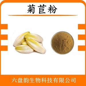 菊苣粉 菊苣浓缩粉 可定制 水溶