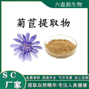 菊苣提取物 菊苣浓缩粉 水溶 可定制