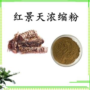 红景天浓缩粉 可定制 水溶 包邮