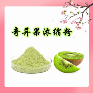 奇异果浓缩粉 食品级原料  量大优惠