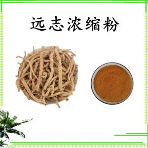 远志浓缩粉 可定制 水溶 包邮