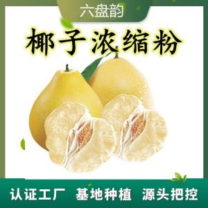 柚子浓缩粉  柚子粉   食品级原料