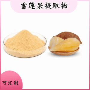 雪莲果提取物  雪莲果粉   资质齐全  量大优惠
