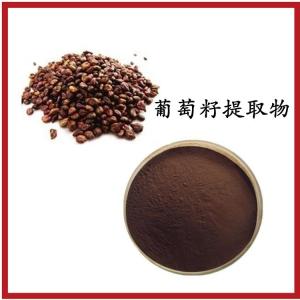 葡萄籽提取物  植物提取 包邮  可定制