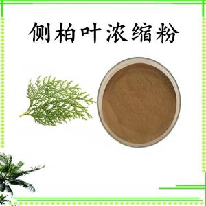 侧柏叶浓缩粉 水溶 可定制 包邮