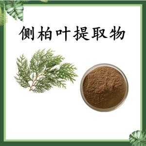 侧柏叶提取物 可定制 水溶 包邮