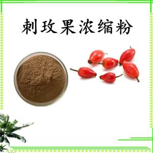 刺玫果浓缩粉 可定制 水溶 包邮