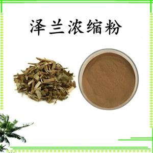 泽兰浓缩粉 可定制 水溶 包邮