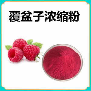 覆盆子浓缩粉   食品级原料  量大优惠