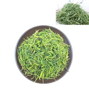山银花粉 新增原料工厂