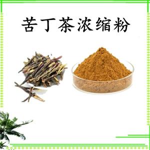 苦丁茶浓缩粉 可定制 水溶 包邮