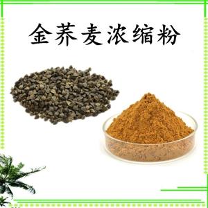 金荞麦浓缩粉 可定制 水溶 包邮