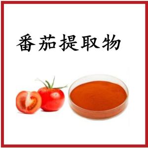 番茄提取物  番茄粉   植物提取  可定制