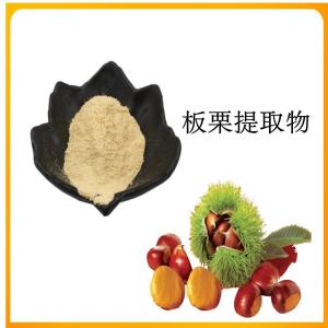 板栗提取物  板栗浓缩粉  食品级原料