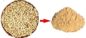 麦芽粉   麦芽提取物  资质齐全