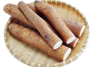 山药浓缩粉  食品级原料  可包邮  定制