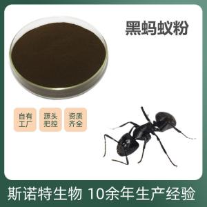 黑蚂蚁粉