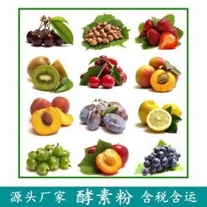 酵素粉 饮料原料