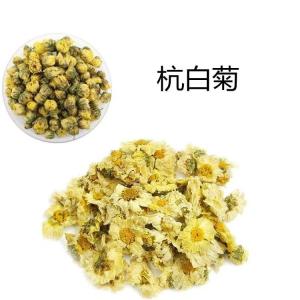 小白菊提取物 10:1 斯诺特包邮