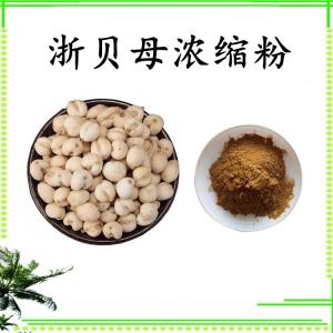 浙贝母浓缩粉 可定制 水溶 包邮