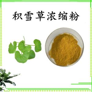 积雪草浓缩粉 水溶 可定制 包邮