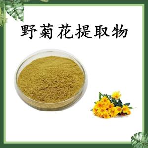 野菊花提取物 可定制 水溶 包邮
