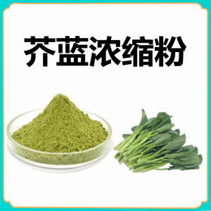 芥蓝浓缩粉  芥蓝粉    食品级原料