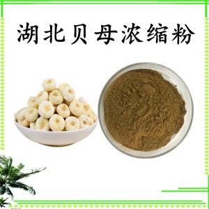 湖北贝母浓缩粉 可定制 水溶 包邮
