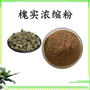 槐实浓缩粉 可定制 水溶 包邮