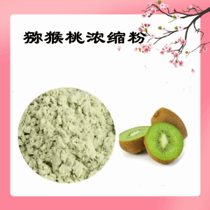 猕猴桃浓缩粉  猕猴桃粉   食品级原料