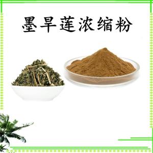 墨旱莲浓缩粉 可定制 水溶 包邮