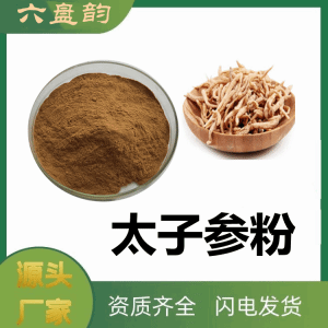 太子参粉  太子参提取物  水溶性  可定制